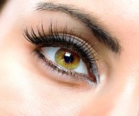 Eyelash Extensions Toronto